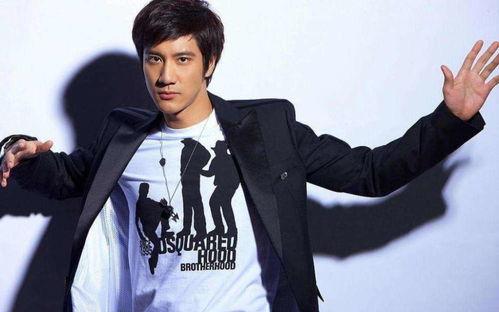 王力宏老婆为什么要撕王力宏 上位by萝卜兔子简介,揭秘老婆撕王力宏背后的真相