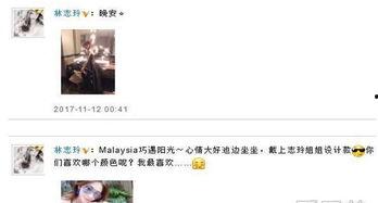 娱乐最近热门消息