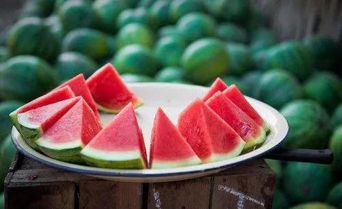 朝阳吃瓜群众一枚 吃瓜网官网,吃瓜网官网独家解读