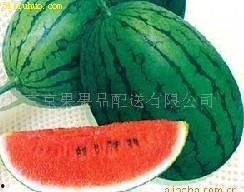 吃瓜网51官网版,热门资讯一网打尽