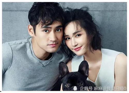 吃瓜爆料 明星排行榜,最新明星热度排行榜大曝光